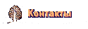Контакты